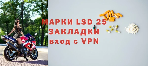 крисы Кулебаки