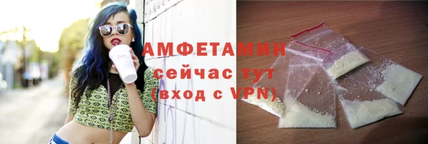 крисы Кулебаки