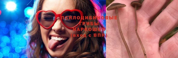 крисы Кулебаки