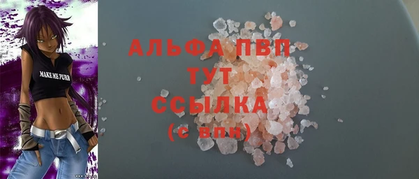 крисы Кулебаки