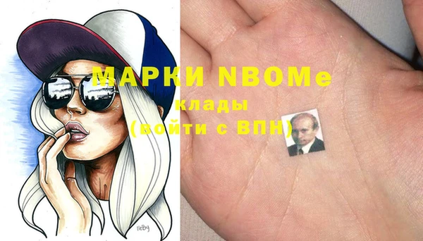 крисы Кулебаки